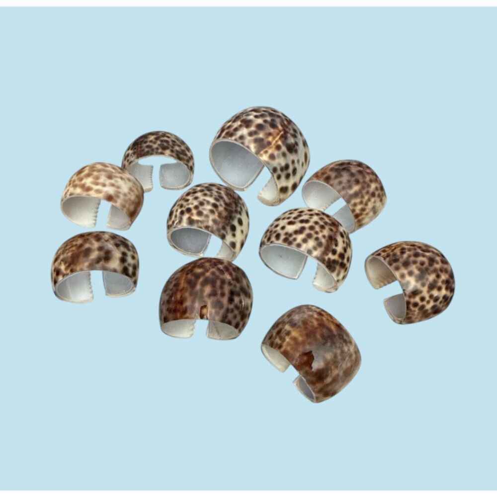Vintage Tiger Cowrie Seashell Napkin Rings Leopard Spot Set of 10